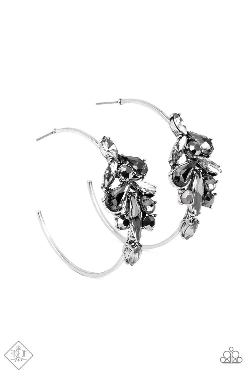 Arctic Attitude - Silver Earrings